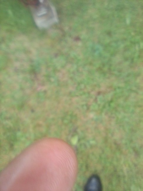 Honda Shadow Motorcycle 2001 VT 750