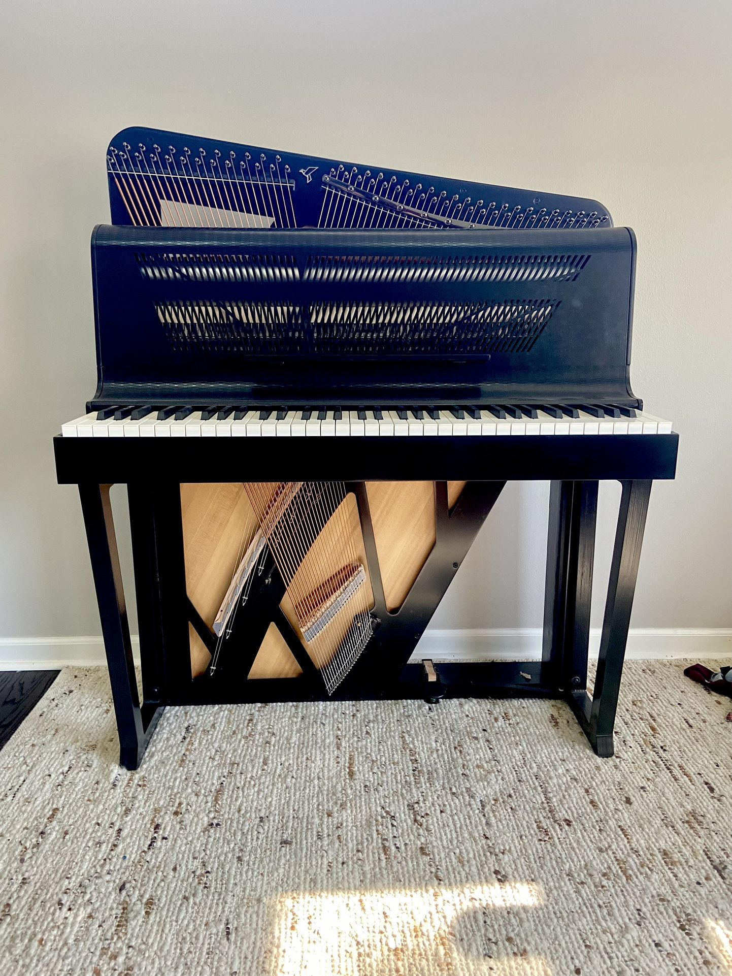 Rare Piano Keybird X1 Like New