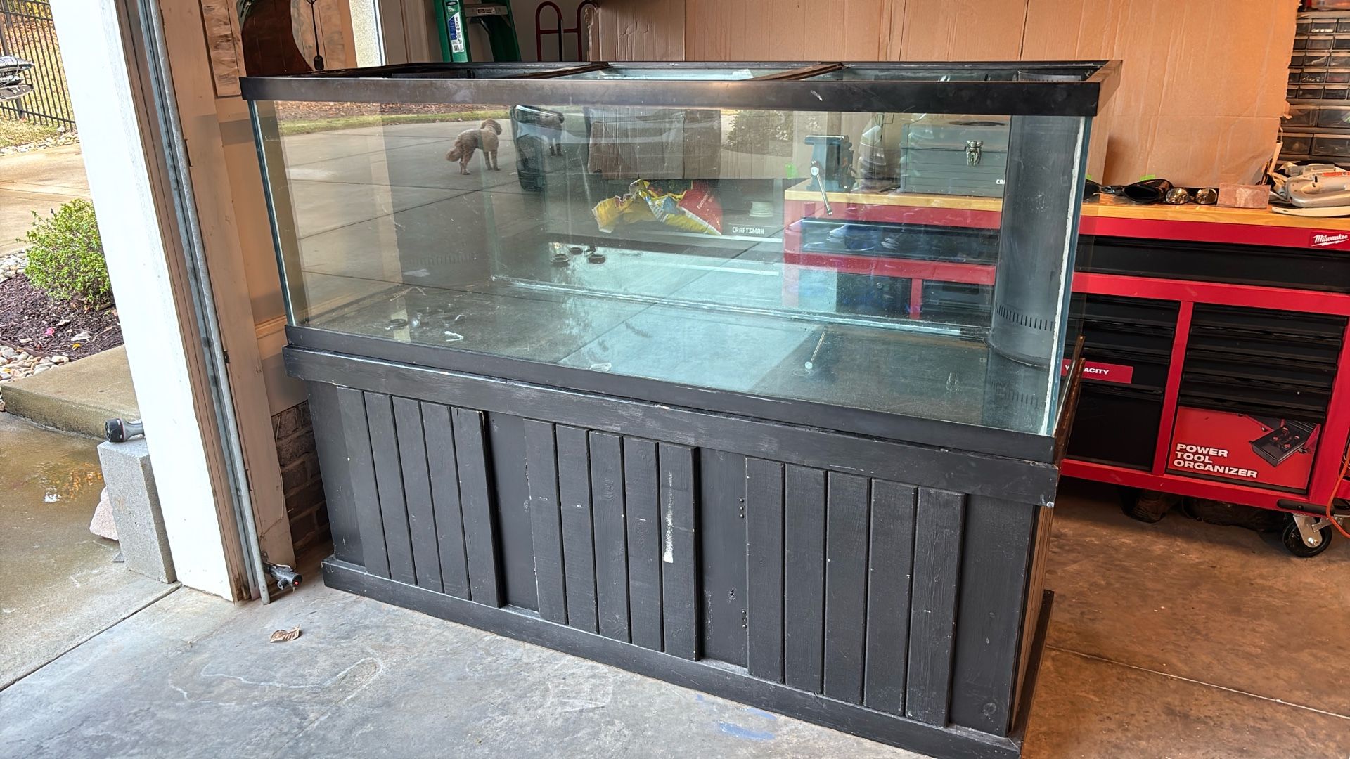 Fish Tank