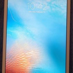 Ipad Mini 1st Gen 