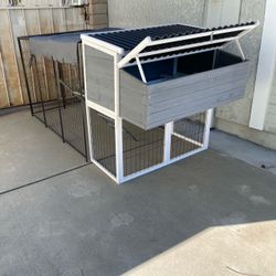 Large chicken coop with nesting boxes and metal fence
