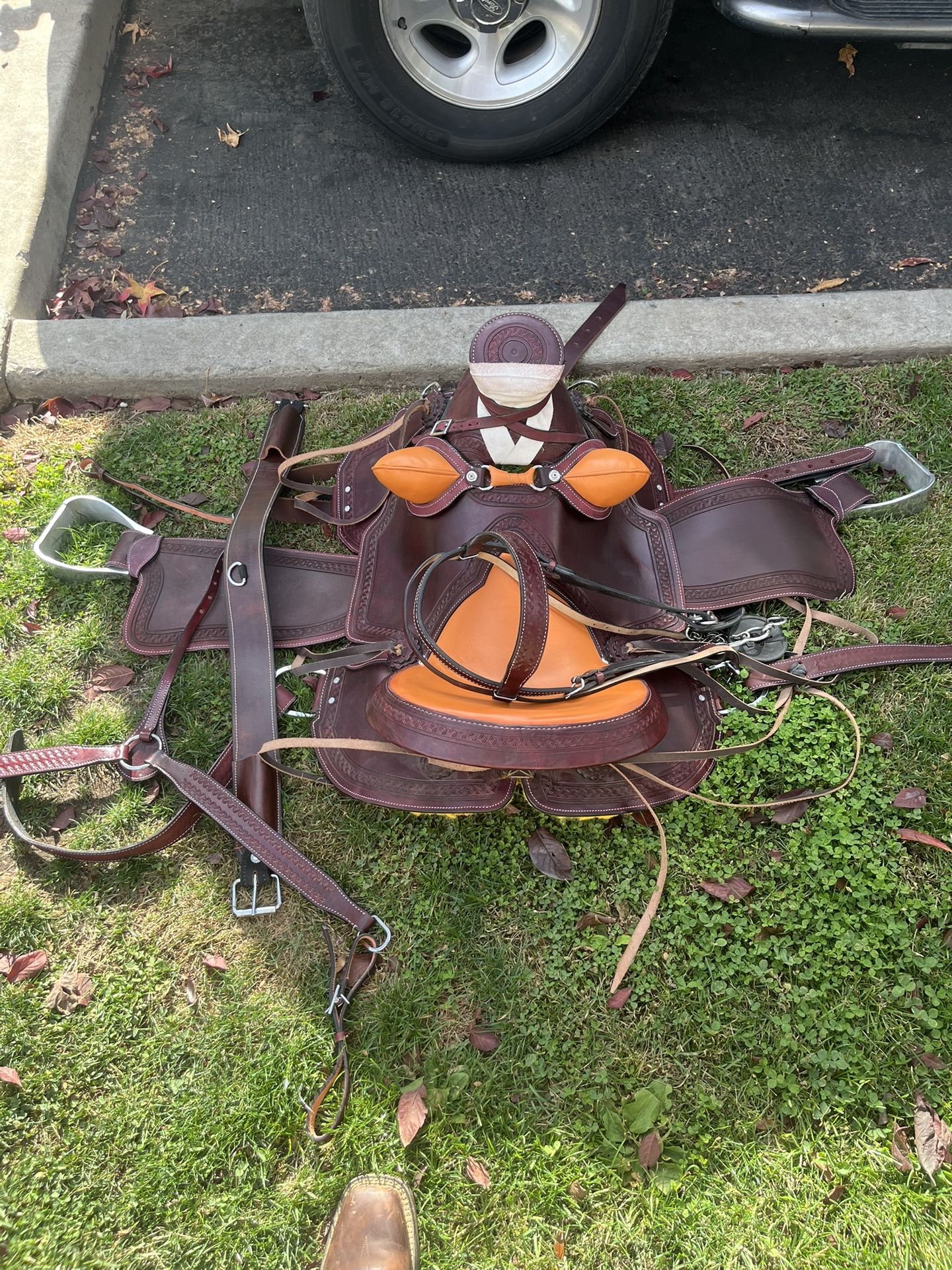 16 In Saddle