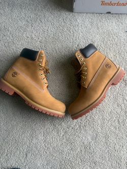 Timbs brand new