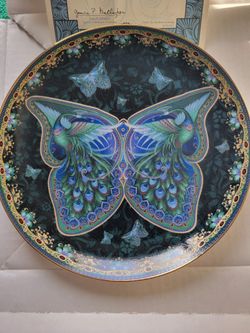 Collector Plate 