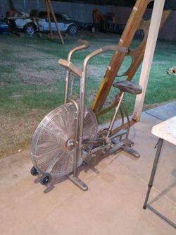 Exercise Schwinn Airdyne