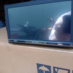 Sony Screen With Single Den Body