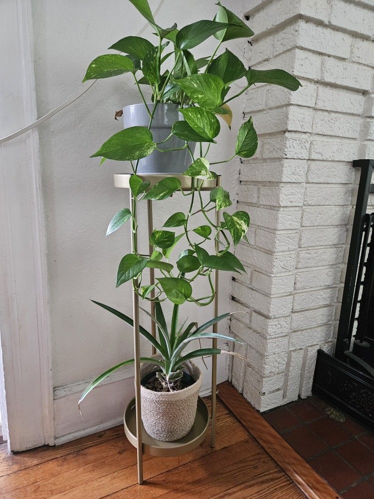 Gold Metal Two Tiered Accent Side Table Or Plant Stand