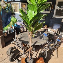 FEJKA Artificial potted plant, indoor/outdoor fiddle-leaf fig, 7 ½ "