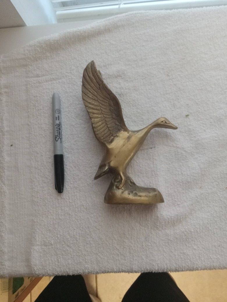 Brass Duck