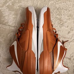 Nike Zoom KD IV longhorn size 11