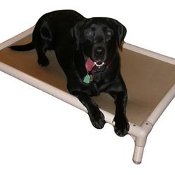 Kuranda Chewproof Bed - Almond PVC - 36x22",   6"T, Birch as pictured in second photo