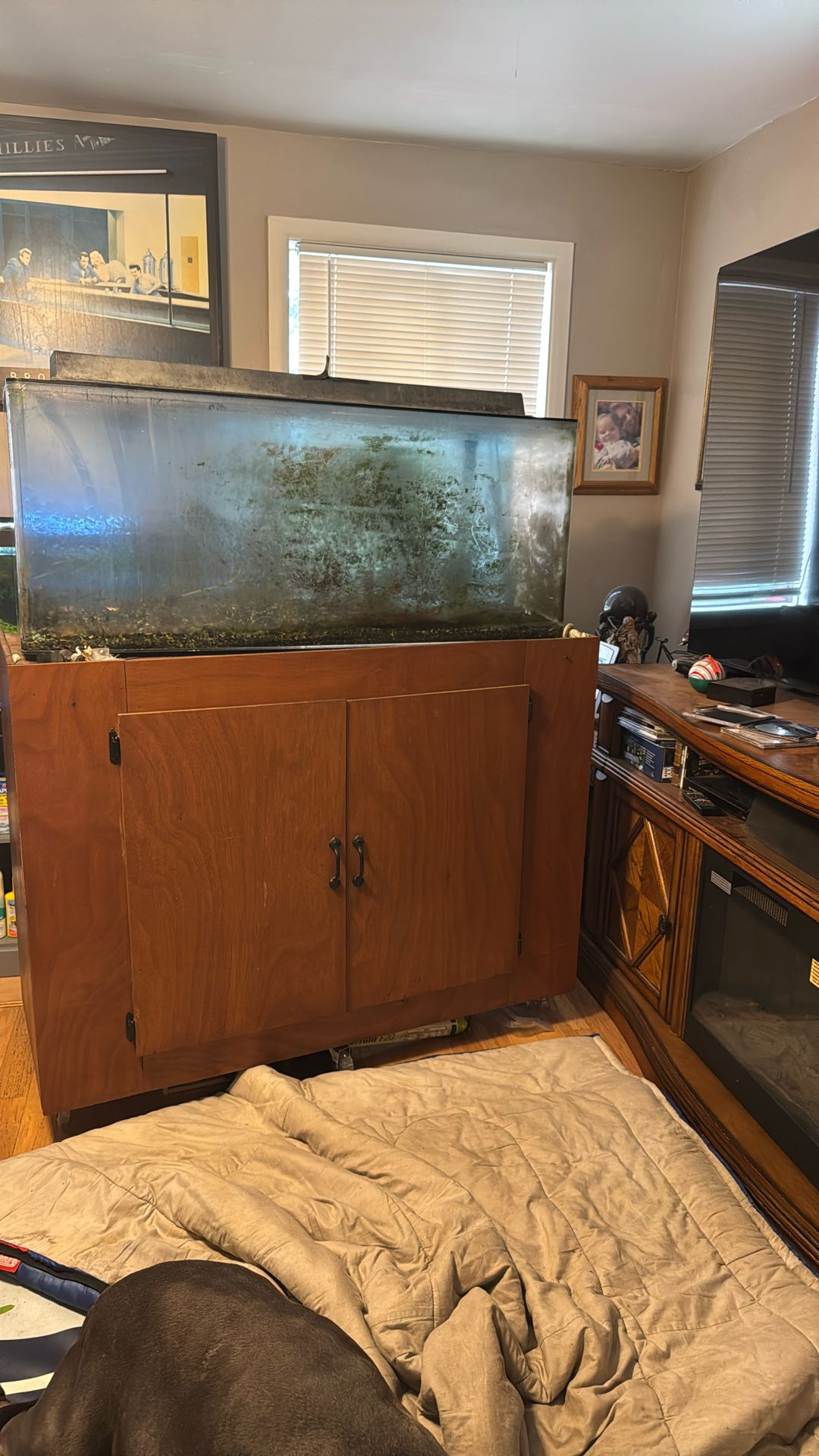 55 Gal Fish-tank And Stand