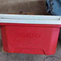 Igloo Cooler 