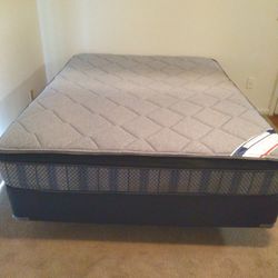 Queen Bed Brand New $300 Obo