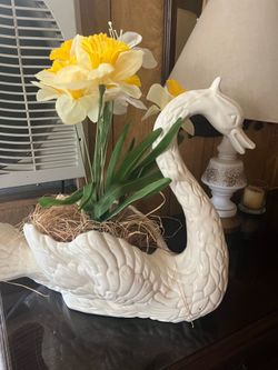 Swan