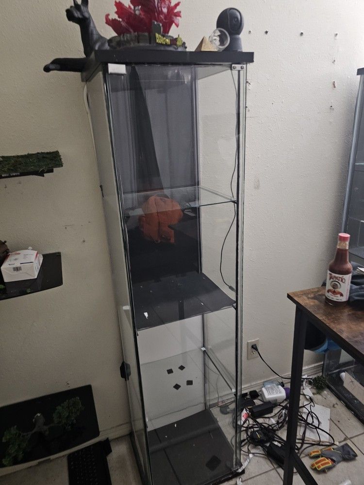 Ikea Detolf Shelves Good To Disllay Items