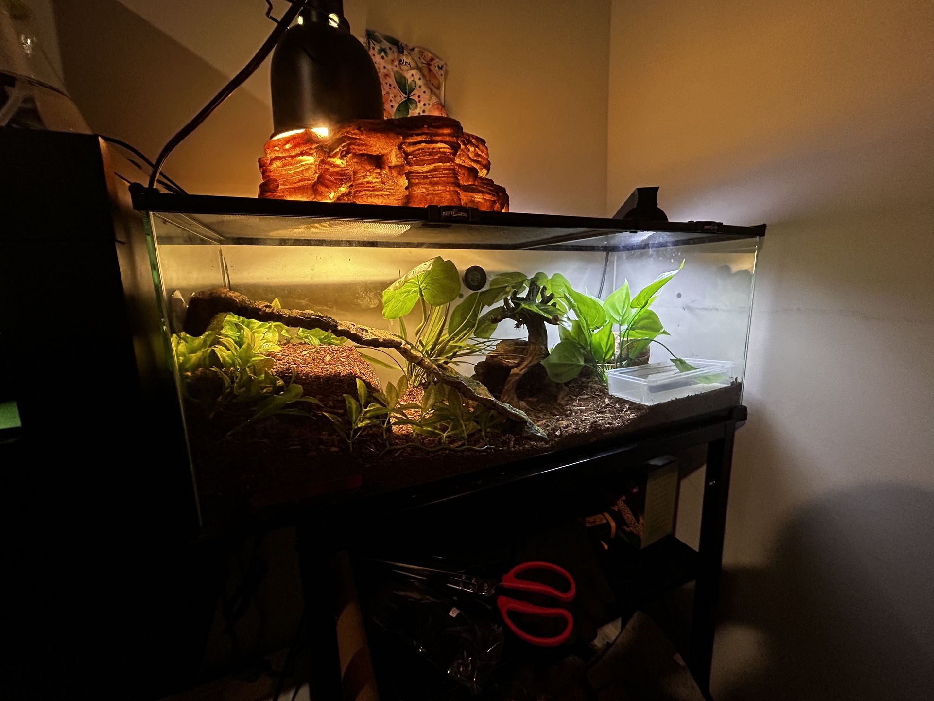 Collapsable Reptile Enclosures