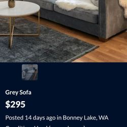 Grey Sofa
