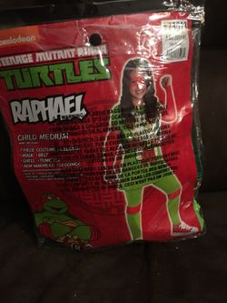 Ninja Turtles Costumes