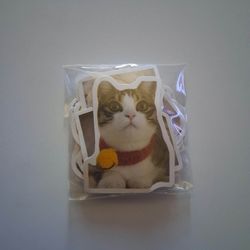 Cats 46 Piece Stickers 