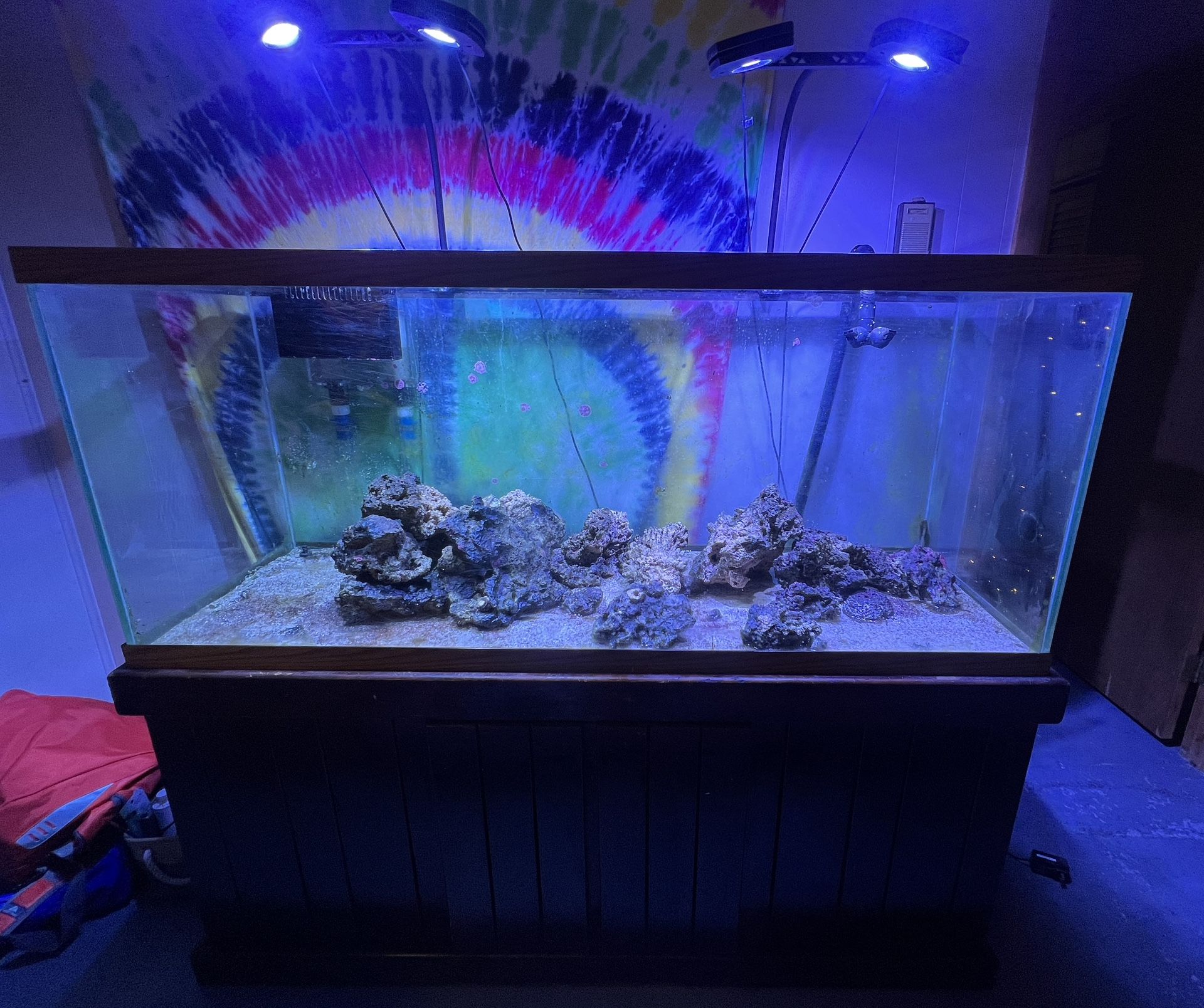 120 Gallon Aquarium Setup
