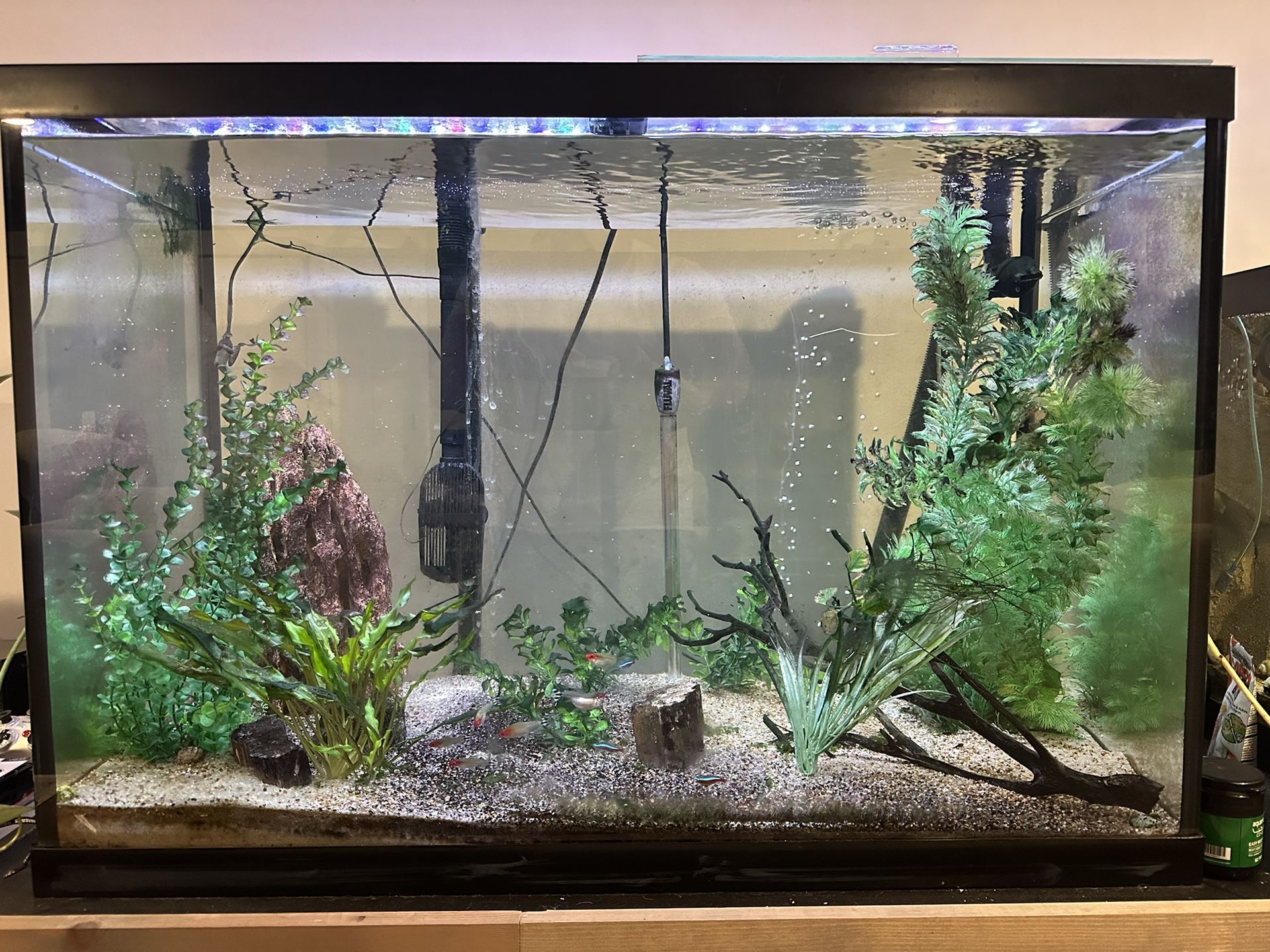65gallon Fish Tank 