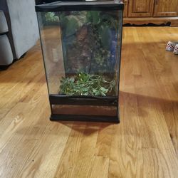 Exo Terra Tank