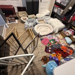 Dog Supplies