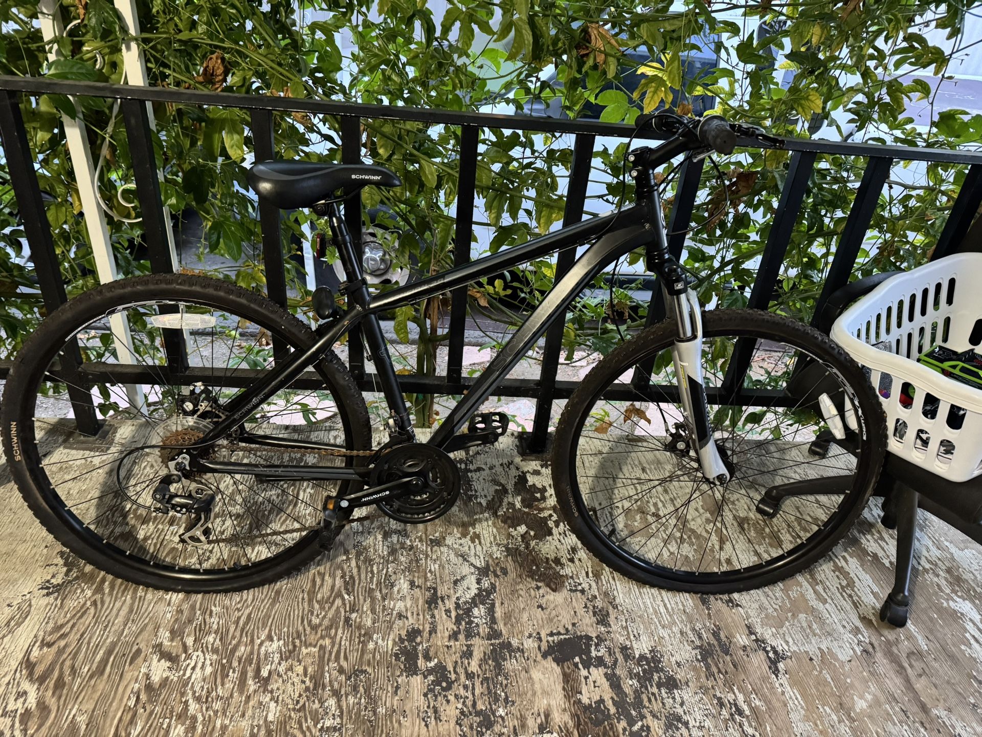 Schwinn Bicycle