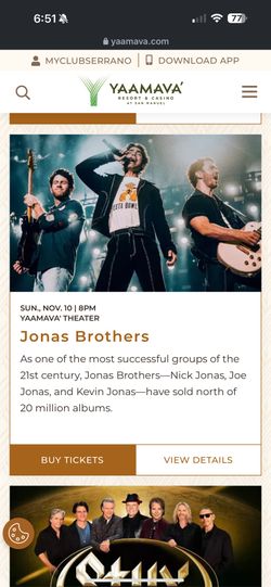 Jonas Brothers Concert