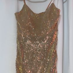 Rose Gold Sequin Dress 