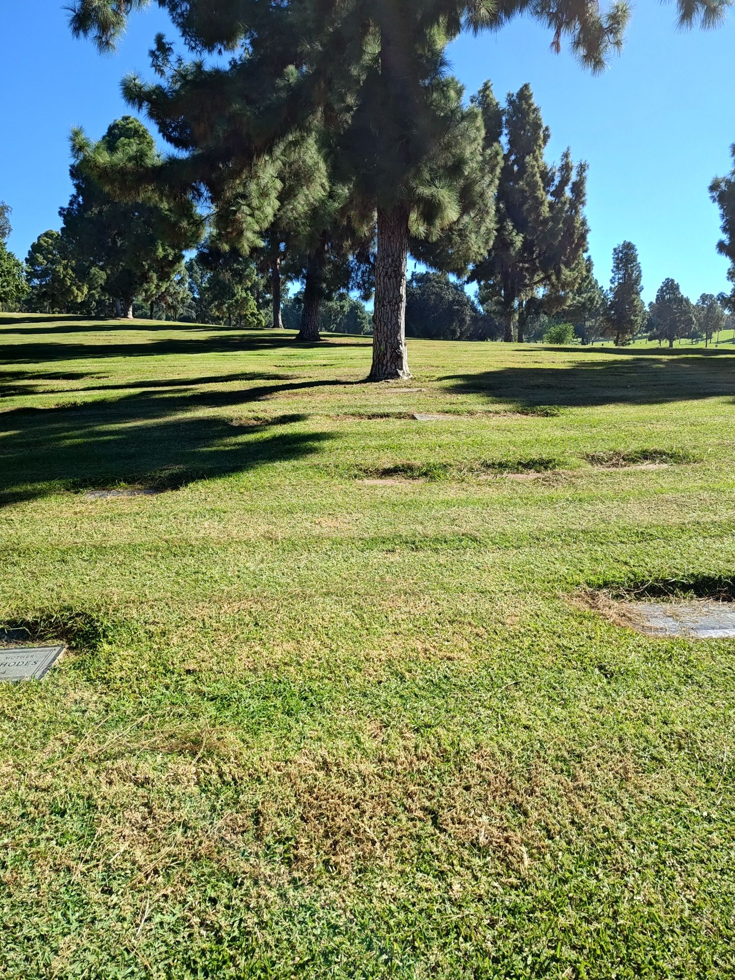 Rose Hills Memorial Park – 2 Side-by-Side Burial Plots (Pinecrest Lawn ...
