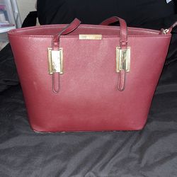 Aldo Purse