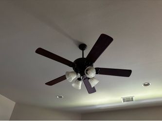 Ceiling Fan