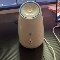 Pursonic Facial Steamer