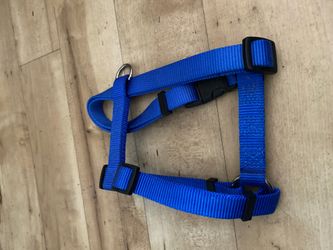 Medium/Large Cat Harness