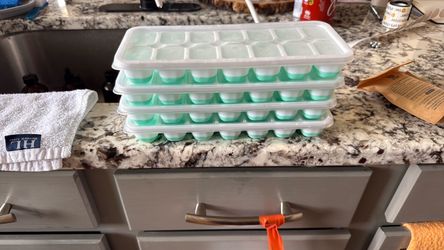 Ice Cube Trays with Lids Set of 4