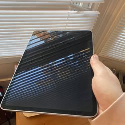 MINT Condition iPad Pro 4th Generation