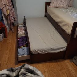 Twin Day Bed W/ Pull Out