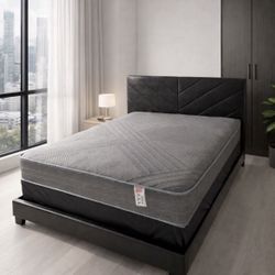 New Queen Size Bed Frame  + Queen Mattress + Box Spring 