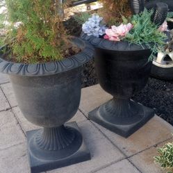 Flower Pot