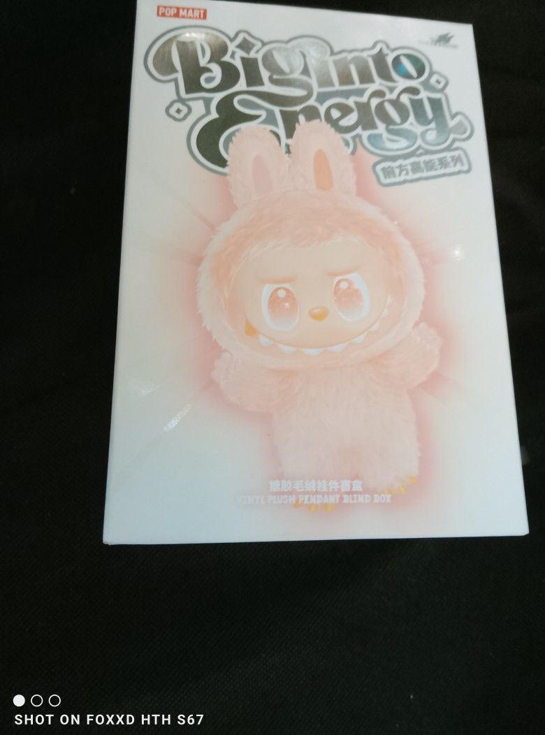  Labubu Authentic Blind Box 
