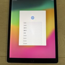 Apple Ipad Pro 2nd Gen 12.9 256gb
