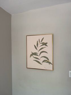 Paintings