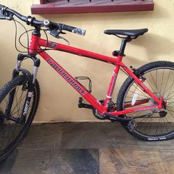 Bicycle, Cannondale Brand, Large Size