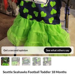 Seattle Seahawks Toddler 18 Months Tutu Dress New Football Game  General Porch Pick Up