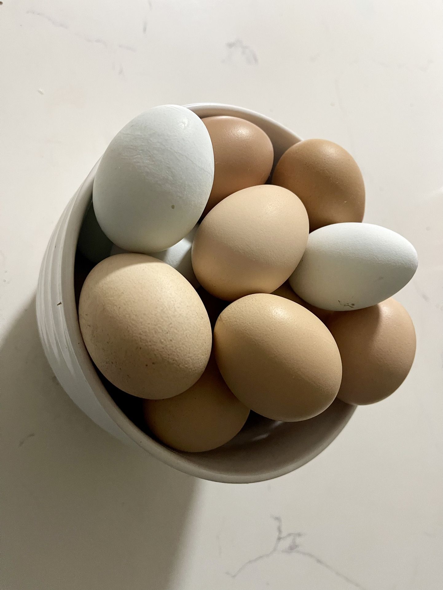 Backyard Unwashed Eggs $6/dozen