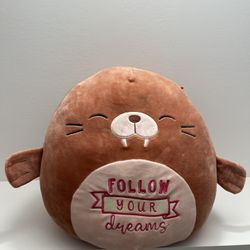 Medium Walrus Squishmallow