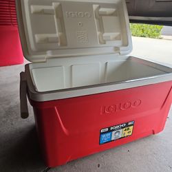 IGLOO COOLER