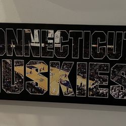 University of Connecticut Huskies Stretched Wall Art Canvas